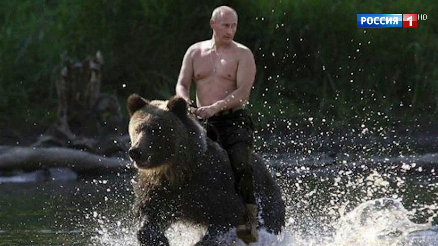 Путин прокомментировал фото, где он скачет на медведе