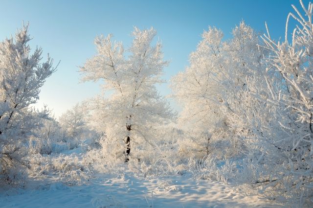 На Колыме из-за 50-градусных морозов отменили занятия в школах