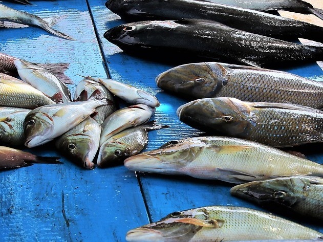 Рыбаку грозит два года тюрьмы за 50 кг улова