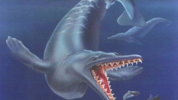 Ученые доказали, что древние киты были острозубыми хищниками