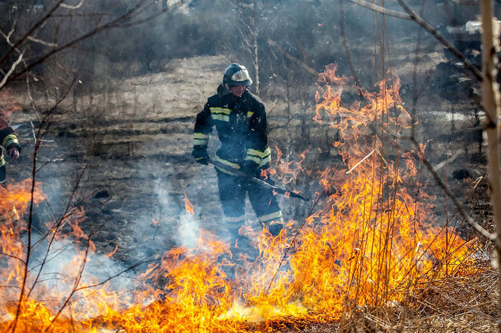 За сутки в России ликвидировано почти 60 лесных пожаров