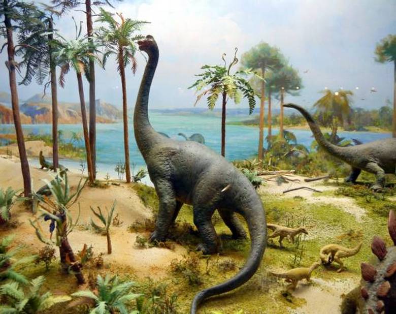 Гигантская кость динозавра найдена во Франции