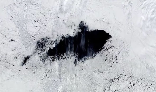 В Антарктиде опять появилась огромная полынья